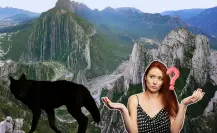Este es el animal nativo de Nuevo León que vive en el Parque Nacional Cumbres de Monterrey