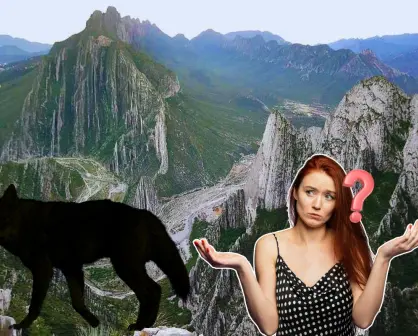 Este es el animal nativo de Nuevo León que vive en el Parque Nacional Cumbres de Monterrey