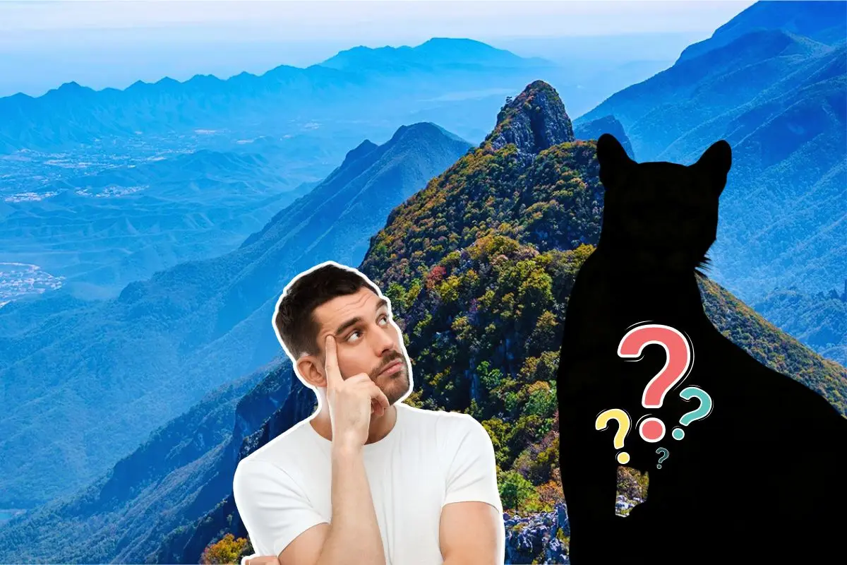 Este animal puede pesar entre 40 y 80 kilogramos Foto: Canva