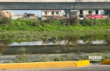Inundaciones en Edomex: estos son los municipios más afectados por las lluvias