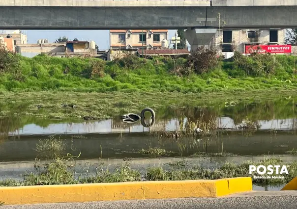 Inundaciones en Edomex: estos son los municipios más afectados por las lluvias