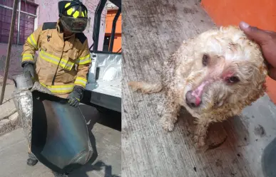Adulto mayor y su perrita sobreviven a explosión de gas en Ecatepec: esto debes saber para evitarlo