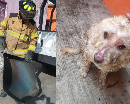 Adulto mayor y su perrita sobreviven a explosión de gas en Ecatepec: esto debes saber para evitarlo