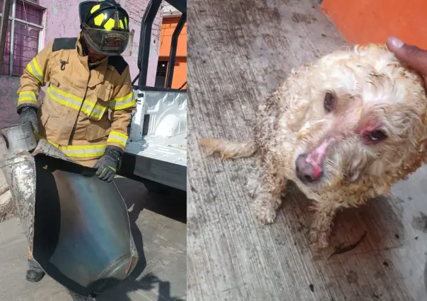 Adulto mayor y su perrita sobreviven a explosión de gas en Ecatepec: esto debes saber para evitarlo