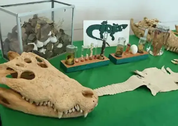 Tampico reafirma su compromiso con la fauna silvestre en la reunión nacional S.O.S. Cocodrilo