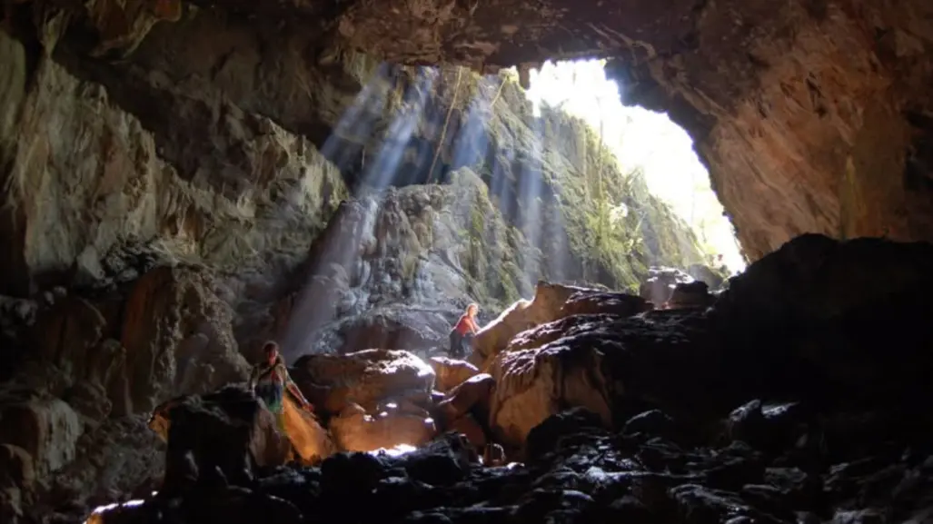 Descubren huesos de animal extinto hace 10 mil años en cueva de la Biosfera El Cielo