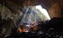 Descubren huesos de animal extinto hace 10 mil años en cueva de la Biosfera El Cielo