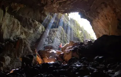 Descubren huesos de animal extinto hace 10 mil años en cueva de la Biosfera El Cielo