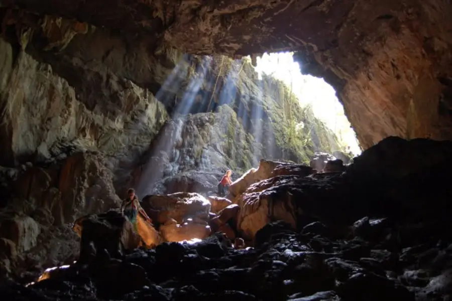 Descubren huesos de animal extinto hace 10 mil años en cueva de la Biosfera El Cielo