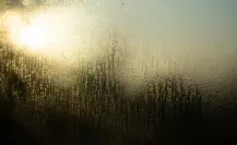 Disminuye probabilidad de lluvia pero se intensifica el calor este 6 de junio en Tamaulipas