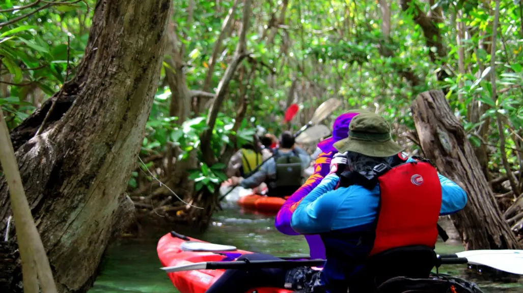 "La Venecia maya": la maravilla escondida entre canales y manglares en Yucatán