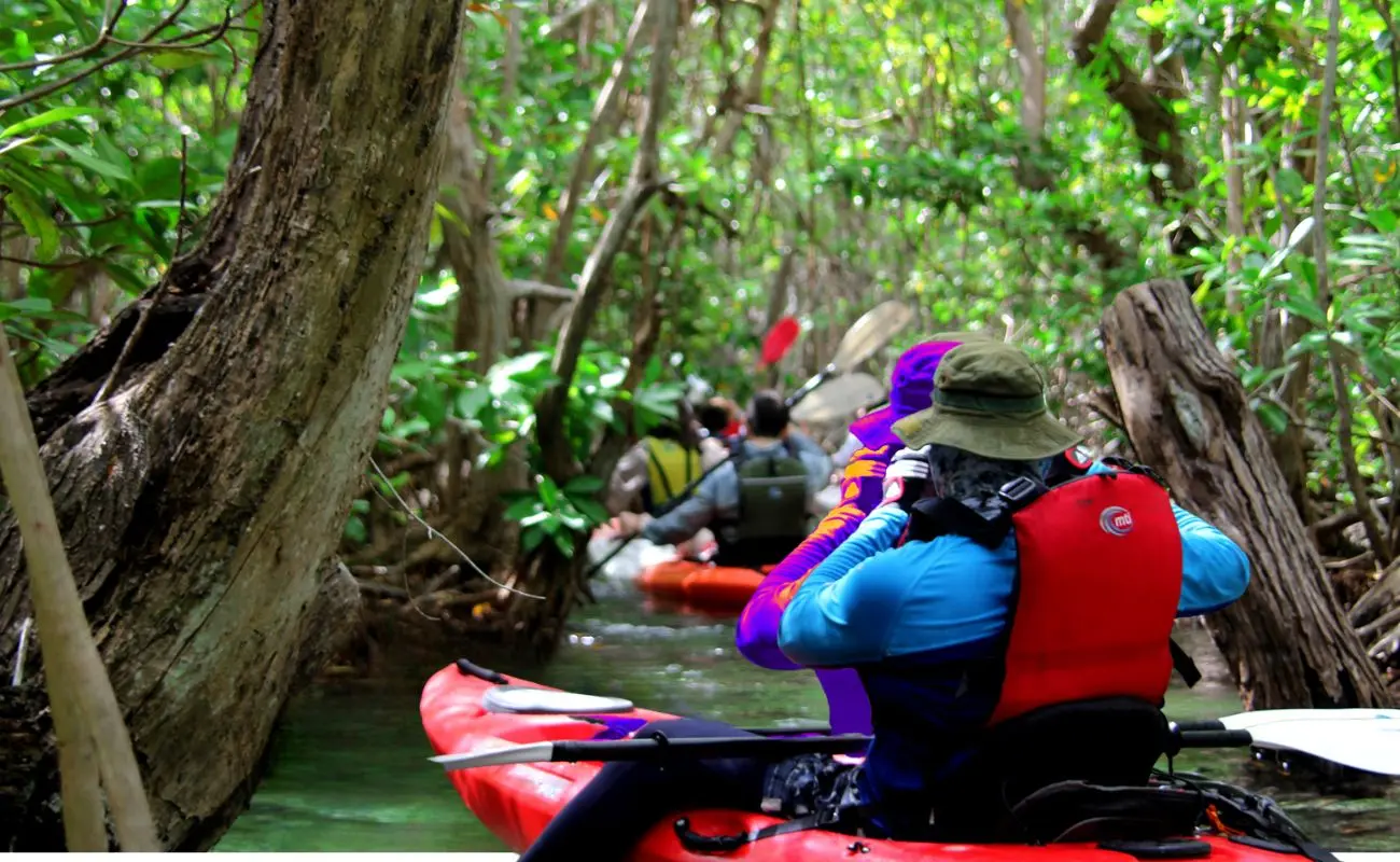¿Por qué sé compra a Celestún como la “Venecia maya”? Foto: Yucatán Travel