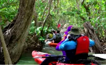“La Venecia maya”: la maravilla escondida entre canales y manglares en Yucatán