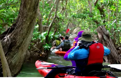 "La Venecia maya": la maravilla escondida entre canales y manglares en Yucatán