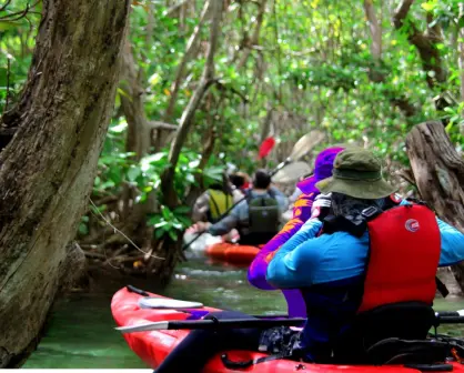 "La Venecia maya": la maravilla escondida entre canales y manglares en Yucatán