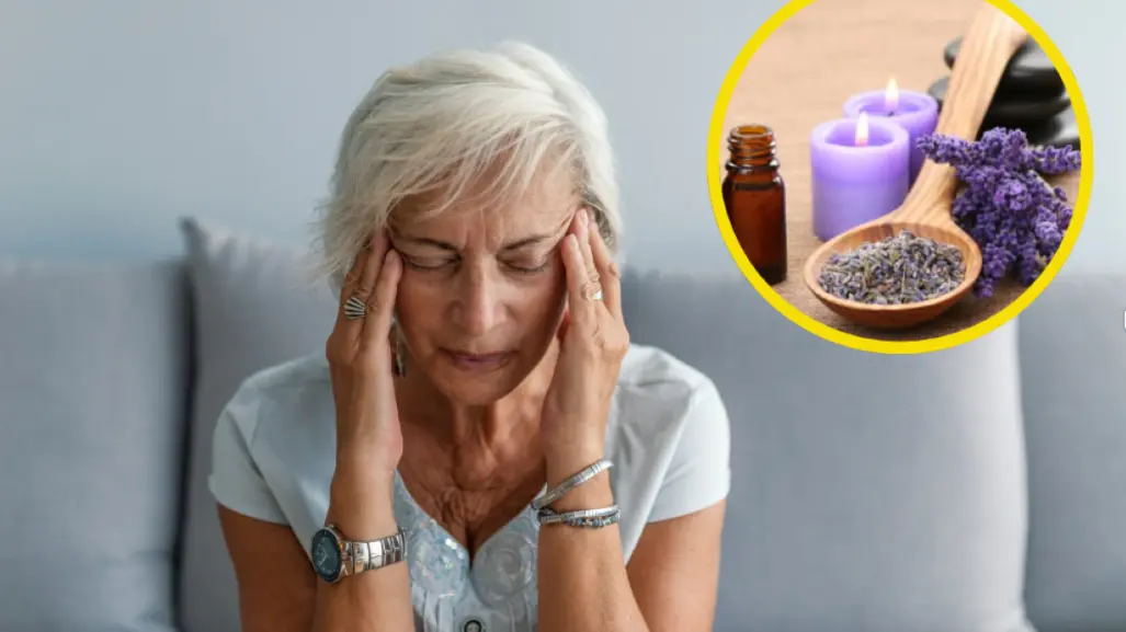 ¿Migraña? Esta planta medicinal te ayudará a combatir los dolores de cabeza