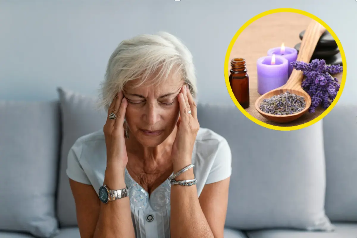 La lavanda tiene múltiples usos en distintas industrias por sus propiedades medicinales. Foto: Canva