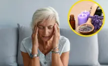 ¿Migraña? Esta planta medicinal te ayudará a combatir los dolores de cabeza