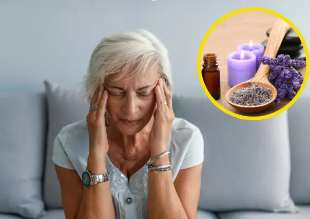 ¿Migraña? Esta planta medicinal te ayudará a combatir los dolores de cabeza