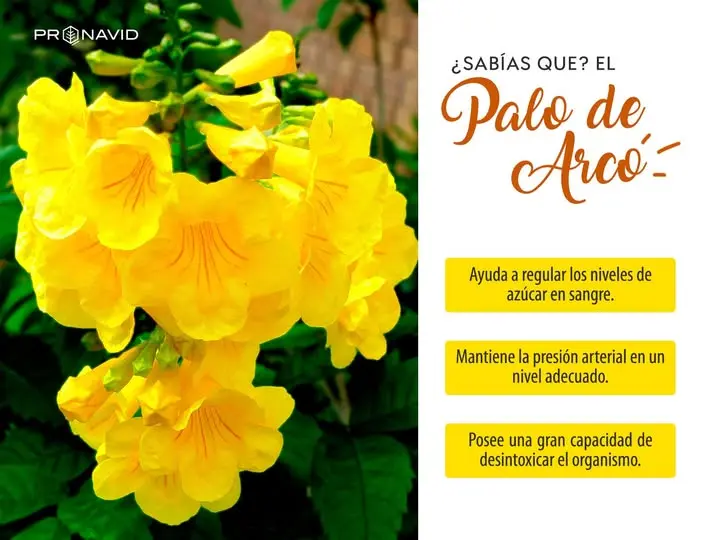 Foto: Pronavid El Salvador / Facebook.