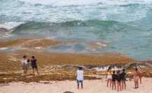 ¿De dónde viene el sargazo que invade Playa del Carmen, en Quintana Roo?