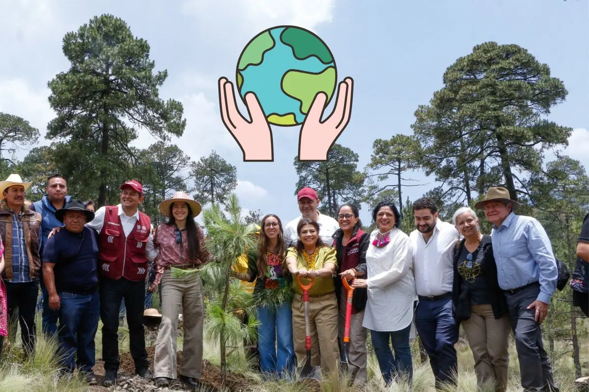 Clara Brugada anuncia reforestación en Tlalpan, Foto: Clara Brugada
