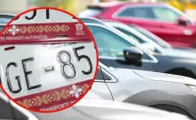 Placas Vehiculares en Edomex: así puedes consultar si están vigentes | Paso a paso