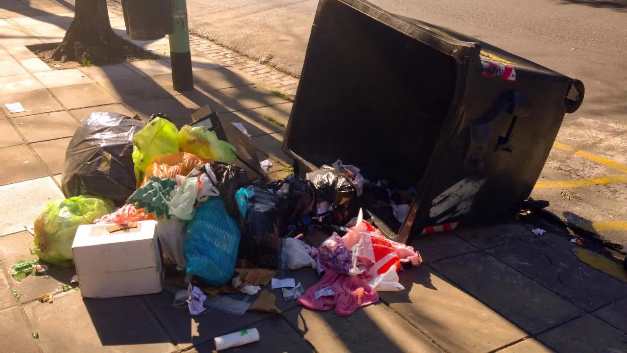 La costosa multa por tirar basura en Toluca: esto es lo que nunca debes tirar en la calle. Foto: Canva