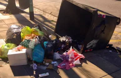 La costosa multa por tirar basura en Toluca: esto es lo que nunca debes tirar en la calle