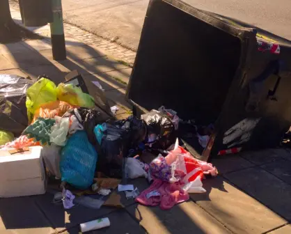 La costosa multa por tirar basura en Toluca: esto es lo que nunca debes tirar en la calle