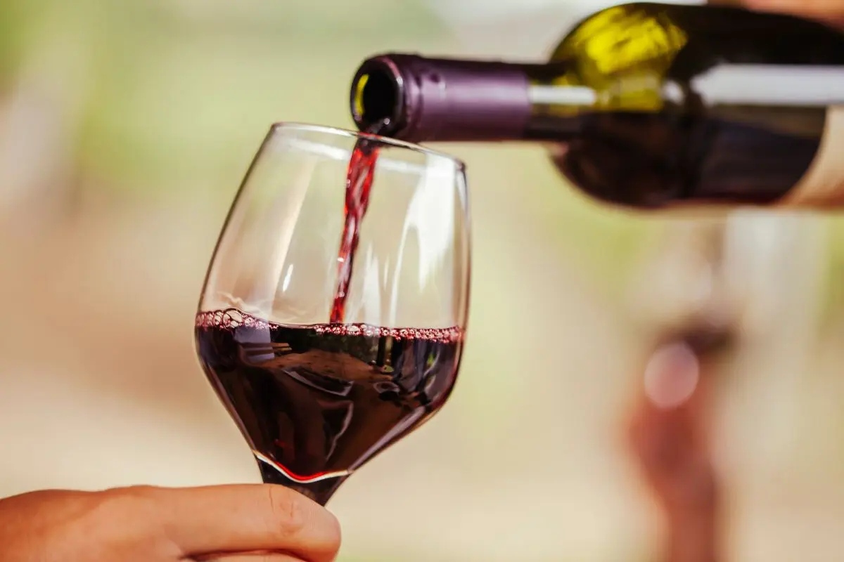Winesomm llega a Saltillo con su sexta edición. Foto de canva.