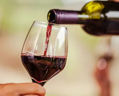 Todo lo que necesitas saber para asistir a la 6° edición del Winesomm