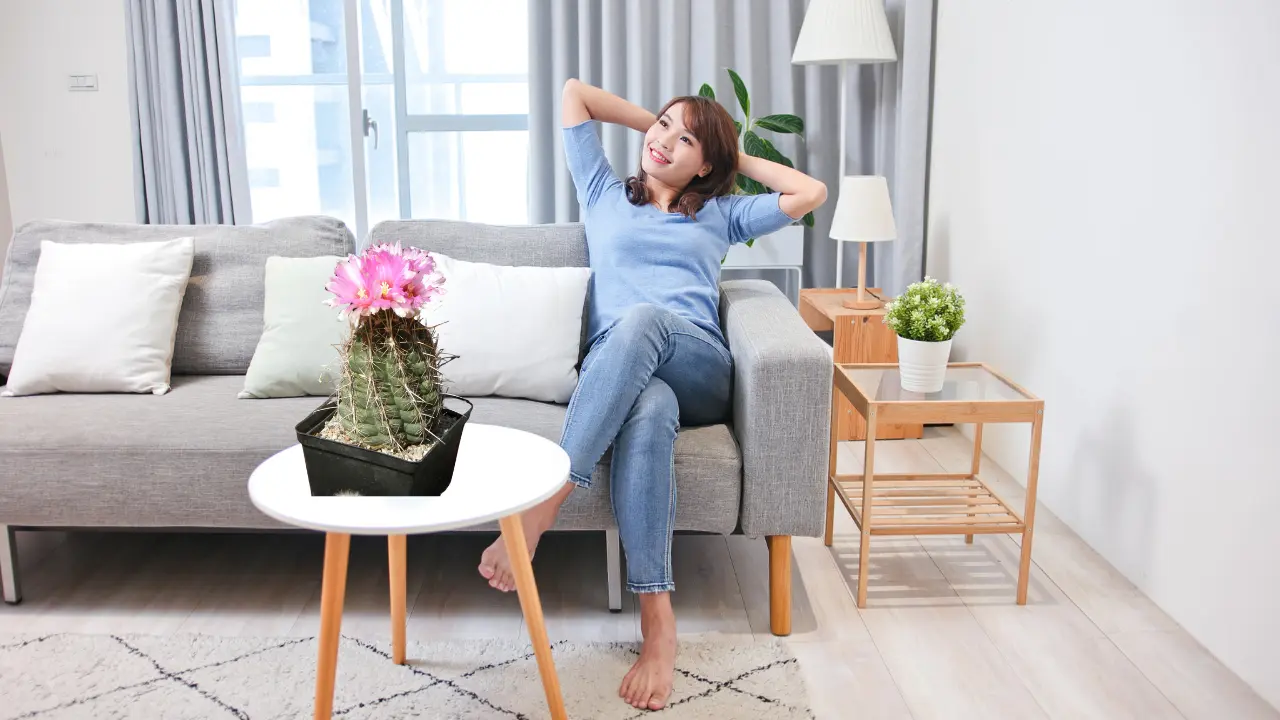 Los cactus requieren pocos cuidados, señala la IA. Foto: Canva