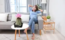 3 cactus nativos de Durango con flores para decorar tu hogar, según la inteligencia artificial
