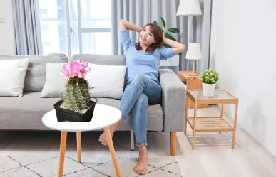 3 cactus nativos de Durango con flores para decorar tu hogar, según la inteligencia artificial