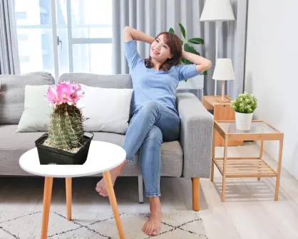 3 cactus nativos de Durango con flores para decorar tu hogar, según la inteligencia artificial