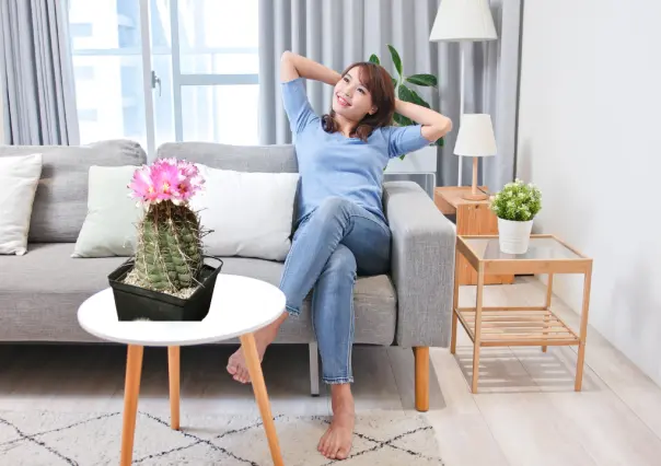 3 cactus nativos de Durango con flores para decorar tu hogar, según la inteligencia artificial