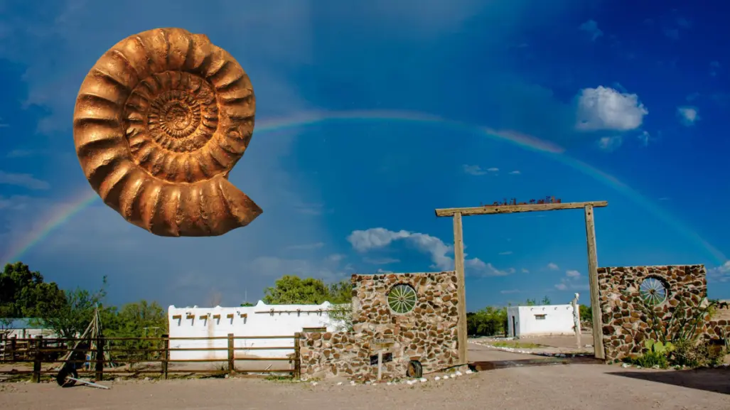 La Zona del Silencio sus sorprendentes hallazgos de fósiles