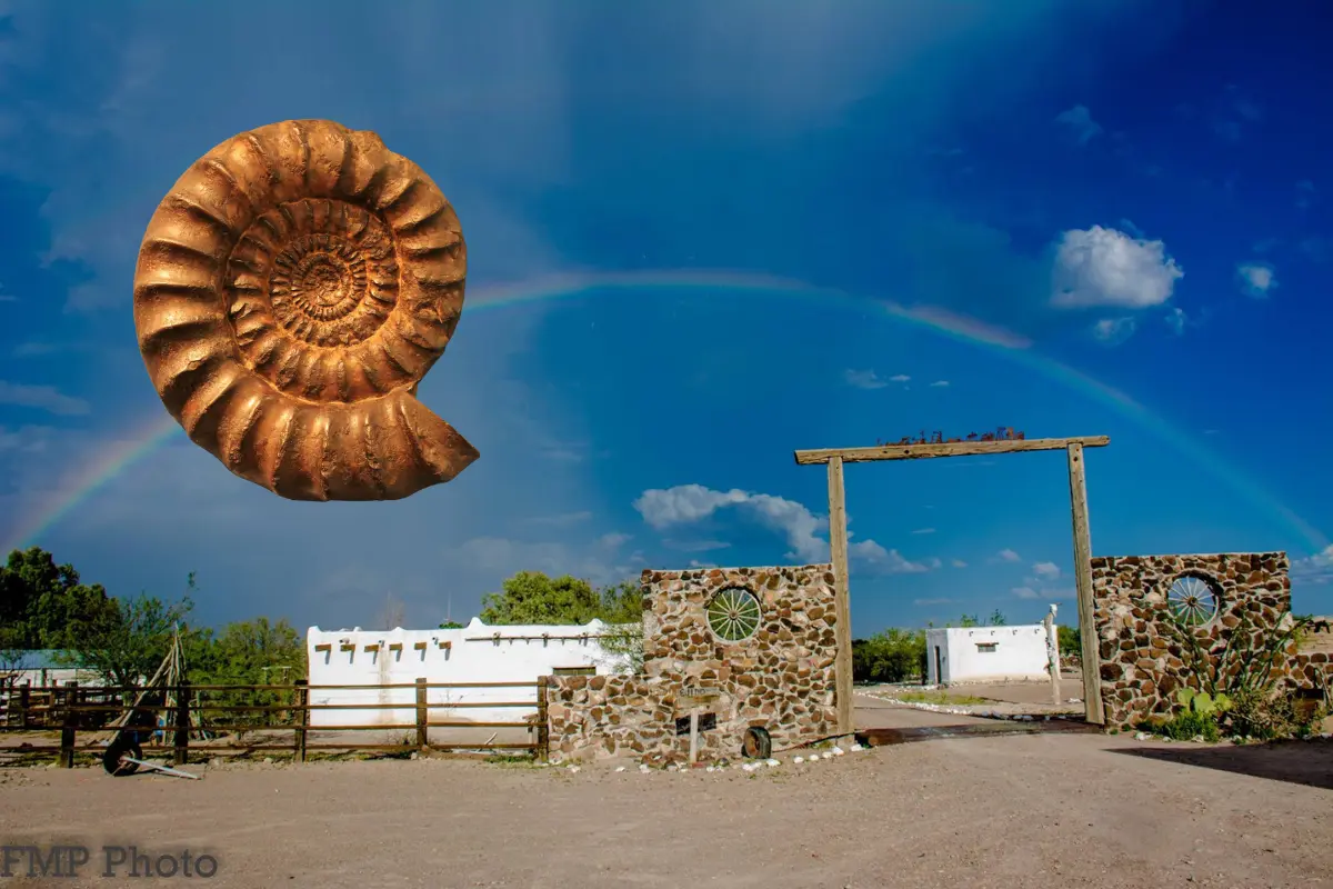 En la Zona del Silencio se han encontrado sorprendents fósiles. Foto: Turismo Durango.