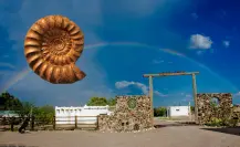 La Zona del Silencio sus sorprendentes hallazgos de fósiles