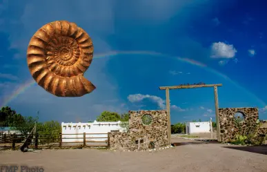 La Zona del Silencio sus sorprendentes hallazgos de fósiles