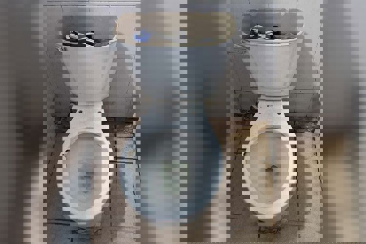 imagen-cuerpo imagen-cuerpo