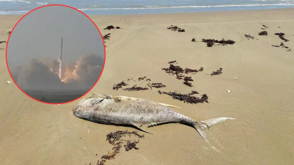 Explosiones de SpaceX ahuyentan a los peces y afectan a pescadores en Matamoros