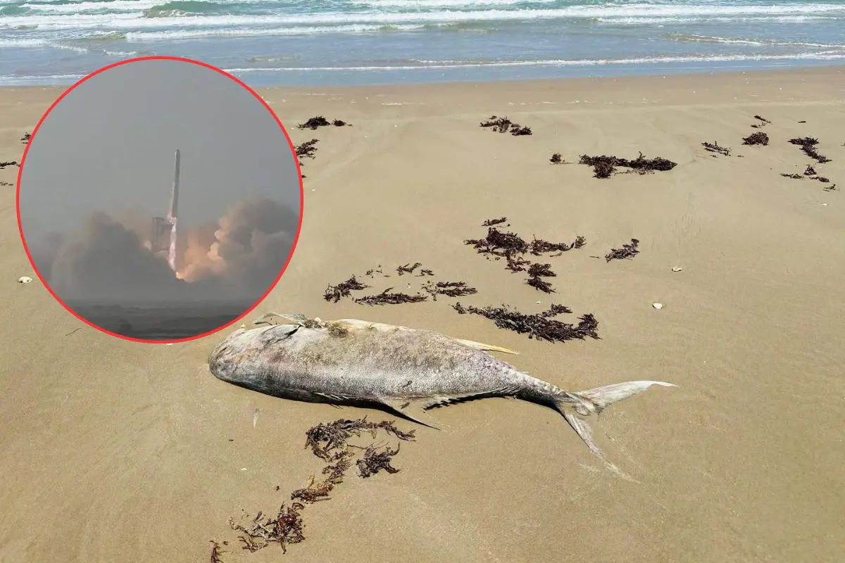 Explosiones de SpaceX ahuyentan a los peces y afectan a pescadores en Matamoros