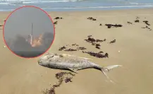 Explosiones de SpaceX ahuyentan a los peces y afectan a pescadores en Matamoros