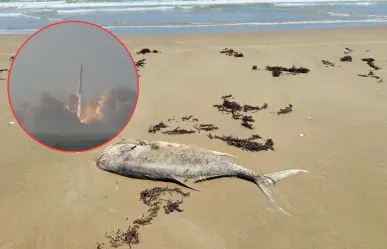 Explosiones de SpaceX ahuyentan a los peces y afectan a pescadores en Matamoros