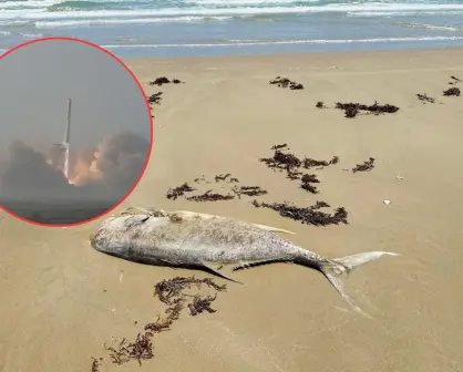 Explosiones de SpaceX ahuyentan a los peces y afectan a pescadores en Matamoros