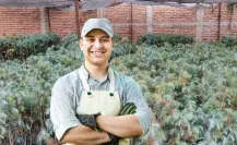 3 árboles comunes de Durango que debes tener en casa si quieres un jardín nativo