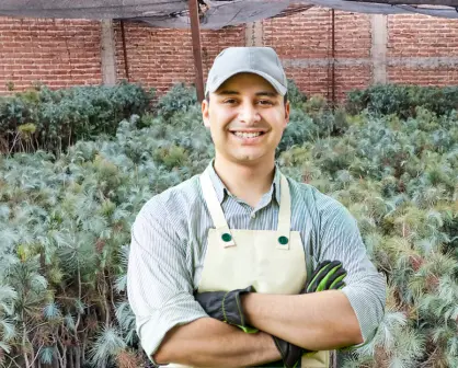3 árboles comunes de Durango que debes tener en casa si quieres un jardín nativo