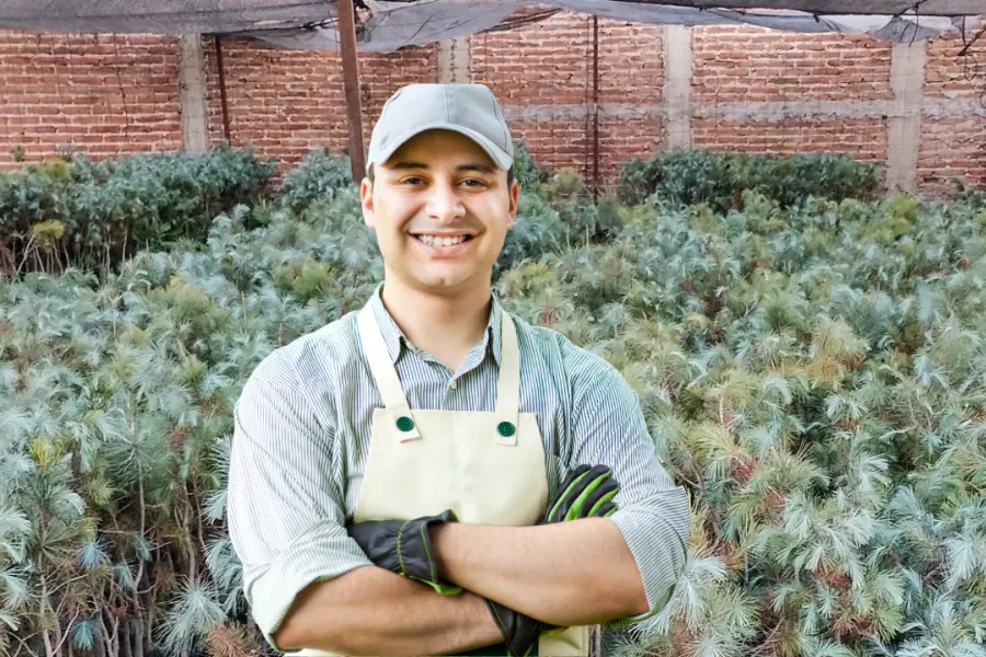 3 árboles comunes de Durango que debes tener en casa si quieres un jardín nativo